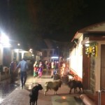 Inside Kamakhya Temple Complex at Night