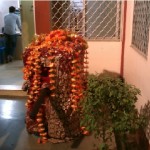 The Doli of Goddess kept at Kamakhya Debutter Board Office